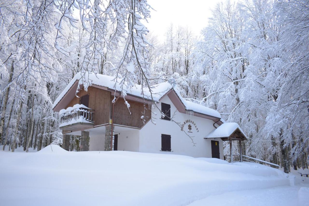 Chalet Il Cristallo-Monte Amiata Castel del Piano  Eksteriør bilde