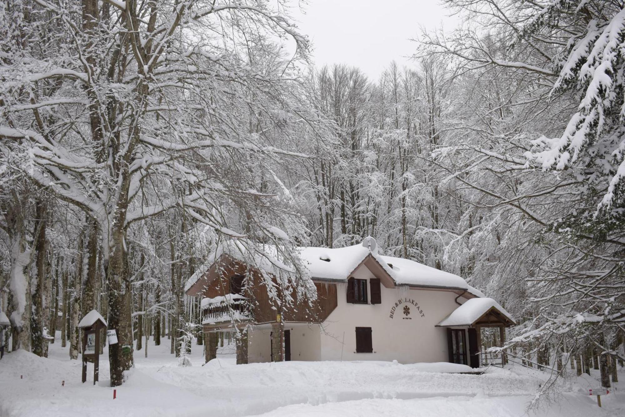 Chalet Il Cristallo-Monte Amiata Castel del Piano  Eksteriør bilde