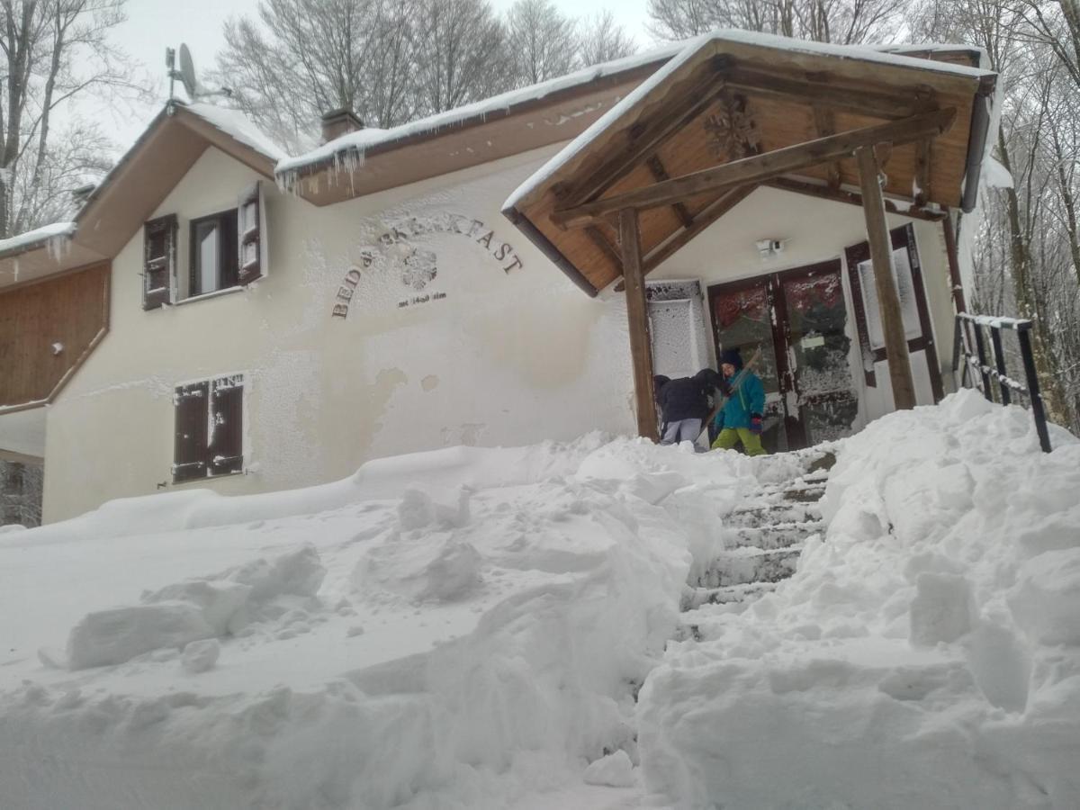 Chalet Il Cristallo-Monte Amiata Castel del Piano  Eksteriør bilde