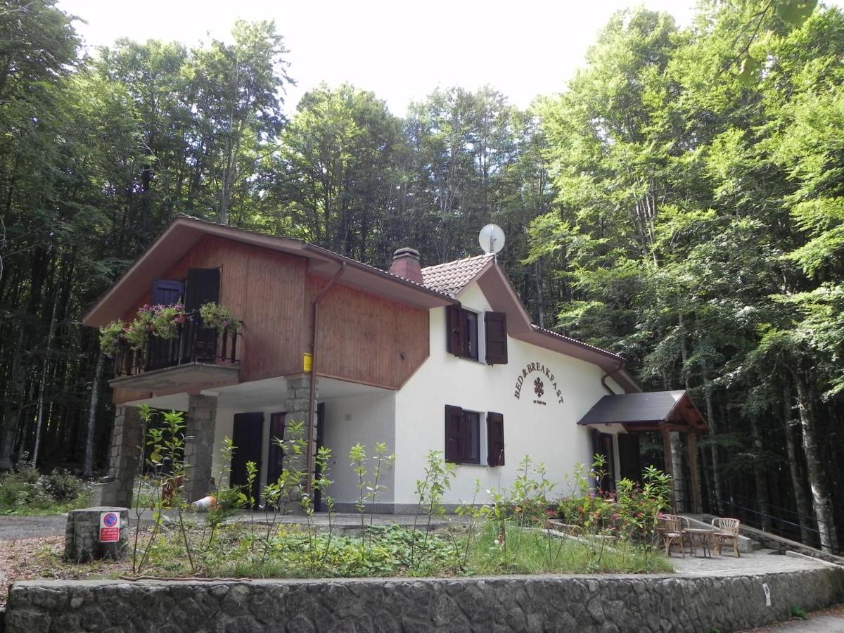 Chalet Il Cristallo-Monte Amiata Castel del Piano  Eksteriør bilde