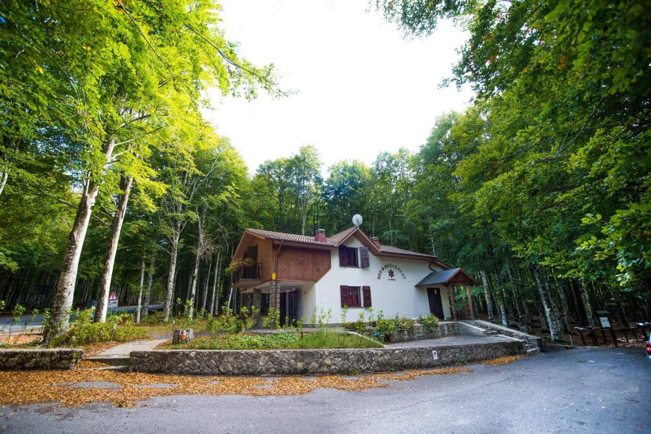 Chalet Il Cristallo-Monte Amiata Castel del Piano  Eksteriør bilde