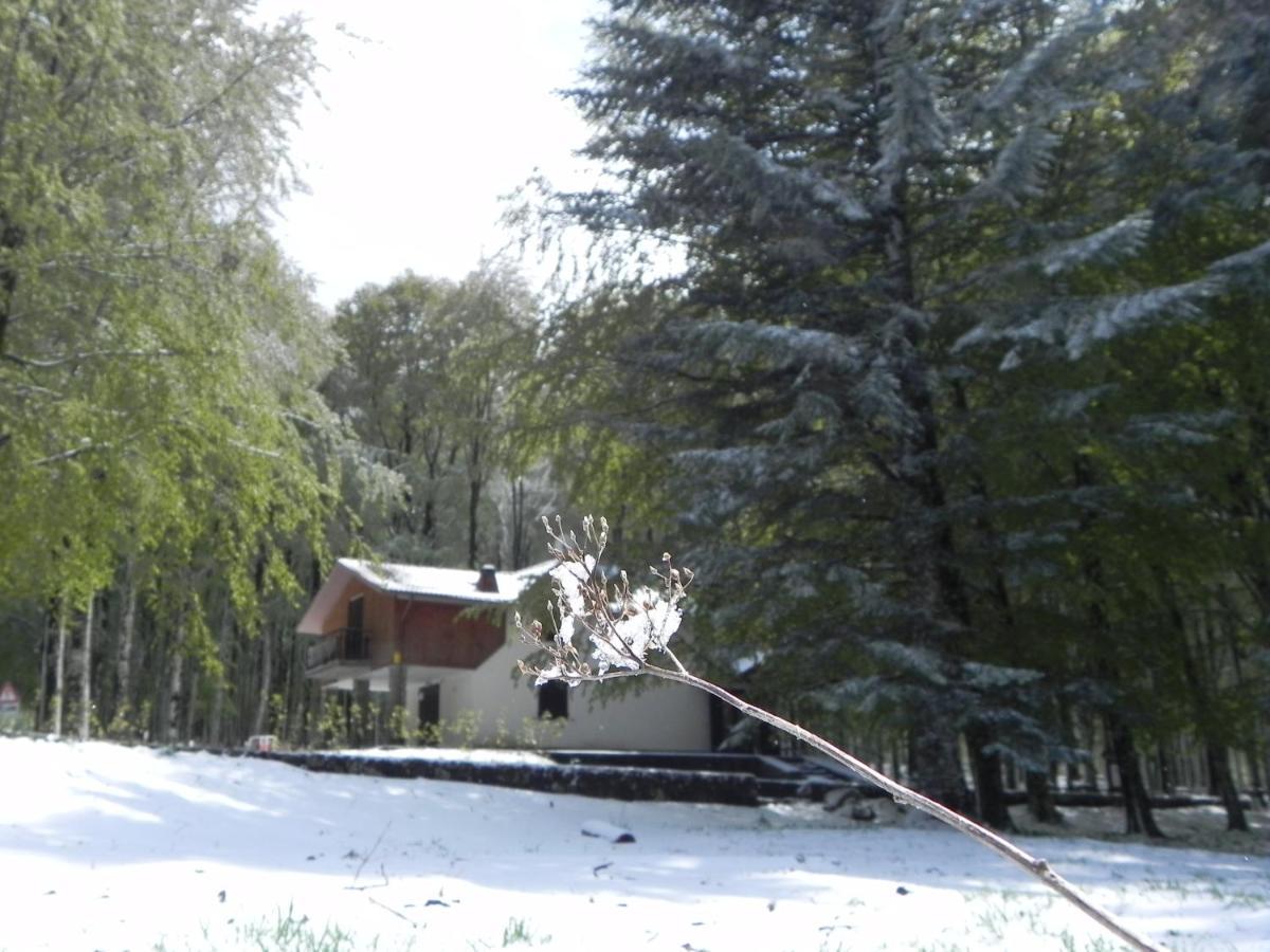 Chalet Il Cristallo-Monte Amiata Castel del Piano  Eksteriør bilde