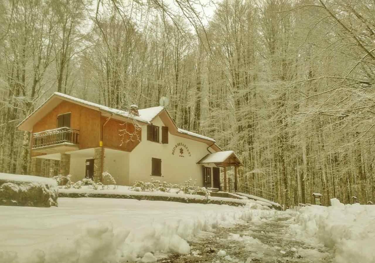 Chalet Il Cristallo-Monte Amiata Castel del Piano  Eksteriør bilde